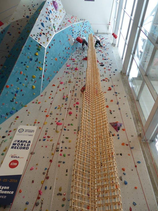 Official Guinness World Record for tallest tower made from wooden toy blocks!
